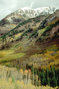 coloradofallcolorjohneckl.jpg